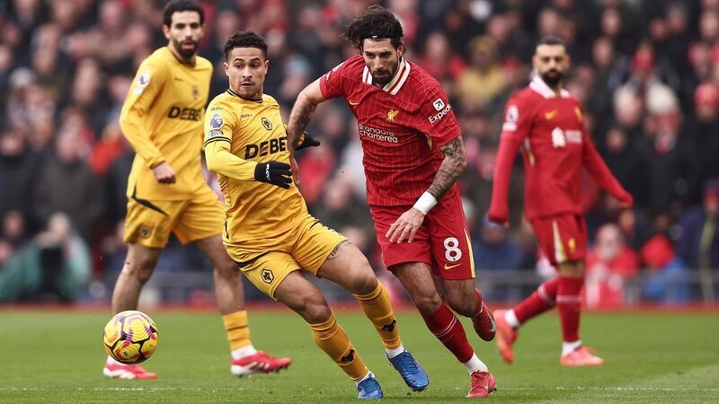 Wolves vs Liverpool - Chiến thắng bất ngờ cho Bầy Sói